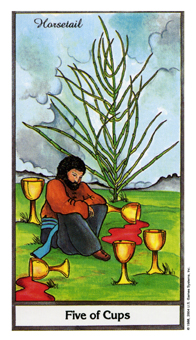 five-cups