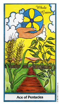 ace-pentacles