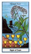 eight-cups