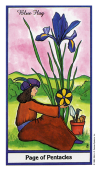 page-pentacles