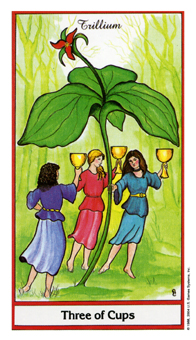 three-cups