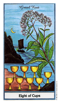 eight-cups