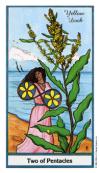 two-pentacles