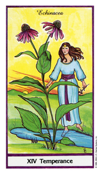 temperance