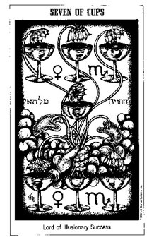 seven-cups