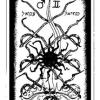 nine-swords