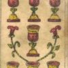 seven-cups