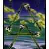 six-wands
