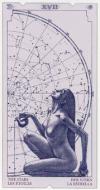 stars