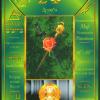 卡巴拉生命之树塔罗牌 Kabbalistic Tarot