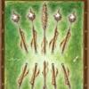 迷宫塔罗牌 Labyrinth Tarot
