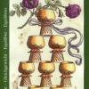 eight-cups