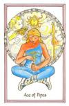 女巫医塔罗牌 Medicine Woman Tarot