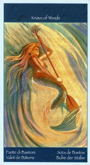 ace-pentacles