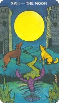 moon