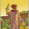 nine-pentacles