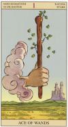 ace-wands