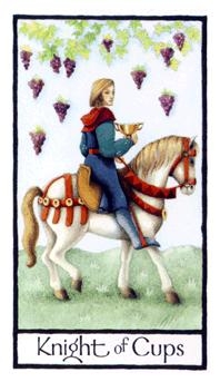 knight-cups