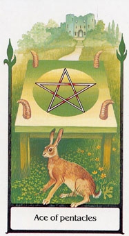 ace-pentacles