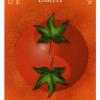 two-pentacles