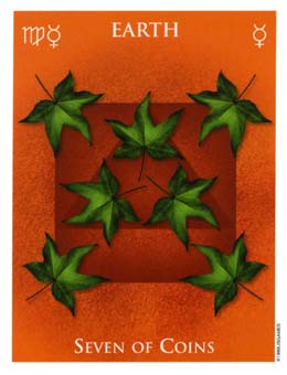 seven-pentacles