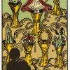 seven-cups