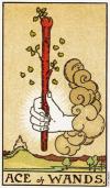 ace-wands