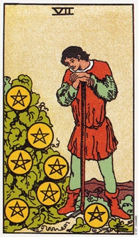 seven-pentacles