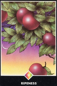 ten-pentacles