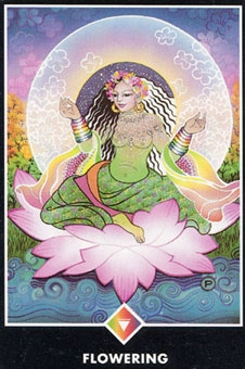 king-pentacles