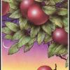 ten-pentacles