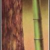 six-swords