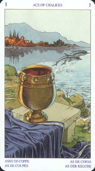 ace-cups