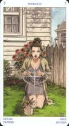 seven-pentacles