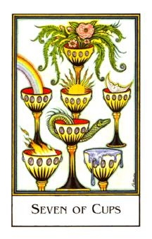 seven-cups