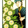seven-pentacles