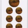 ten-pentacles