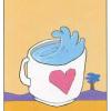 ace-cups