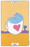 ace-cups