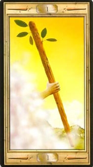 ace-wands