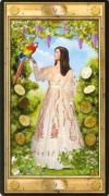 nine-pentacles
