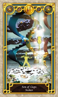 knight-cups