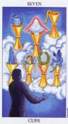 seven-cups