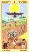 ace-pentacles