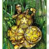 three-pentacles