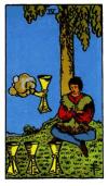 four-cups