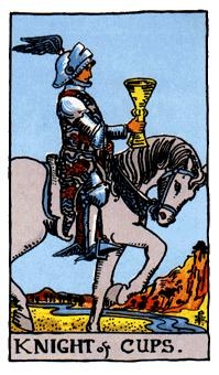 knight-cups