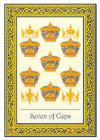 seven-cups