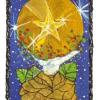 ace-pentacles