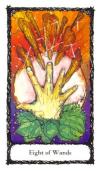 eight-wands
